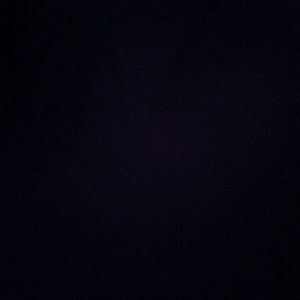 Meet your Posher, Kira